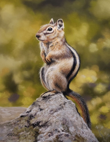 Simon of the Arkansas 10x8 $550 at Hunter Wolff Gallery